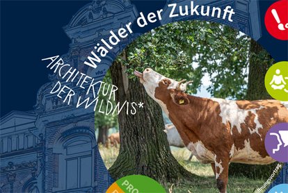 Teilausschnitt aus dem Foto vom Titelbild des Programmheftes aus dem 1.Semester 2026