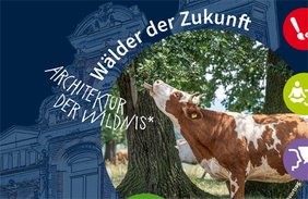 Teilausschnitt aus dem Foto vom Titelbild des Programmheftes aus dem 1.Semester 2026